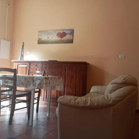 La Vite E L'ulivo *