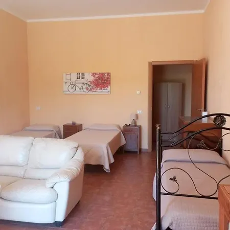 La Vite E L'ulivo * Baschi