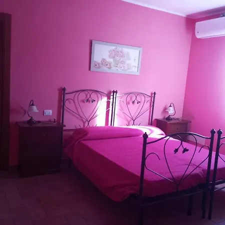 La Vite E L'ulivo