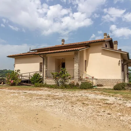La Vite E L'ulivo * Baschi