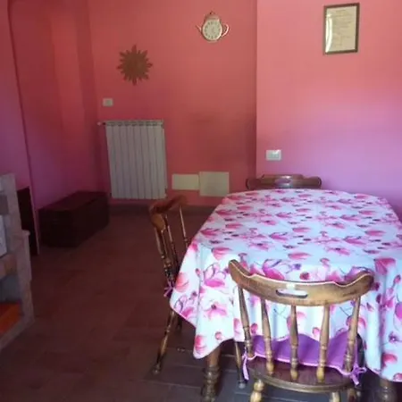 La Vite E L'ulivo