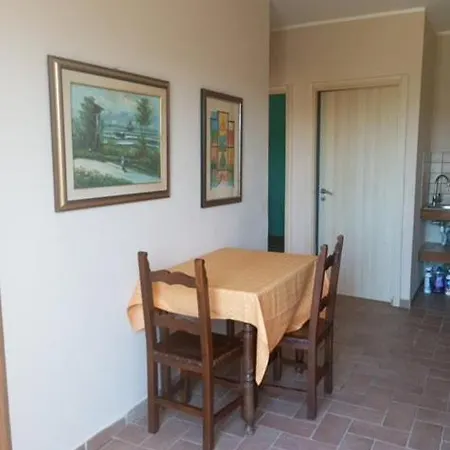 La Vite E L'ulivo *