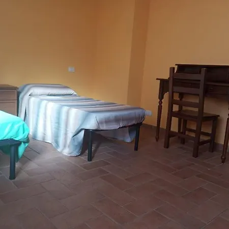La Vite E L'ulivo