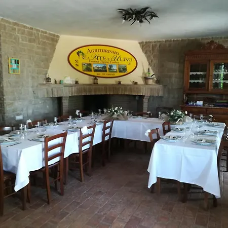 La Vite E L'ulivo *
