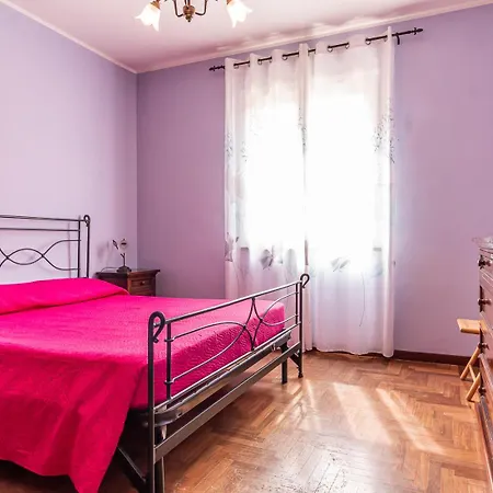 La Vite E L'ulivo