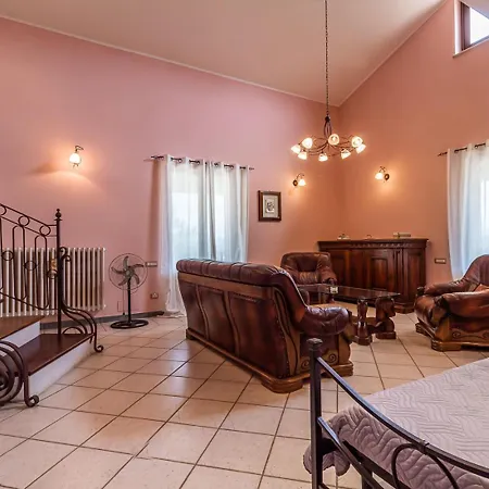 La Vite E L'ulivo Baschi