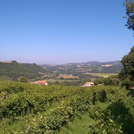 Daire La Vite E L'ulivo *