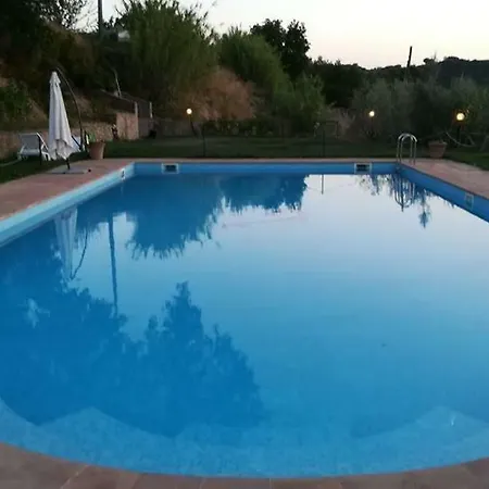 La Vite E L'ulivo *