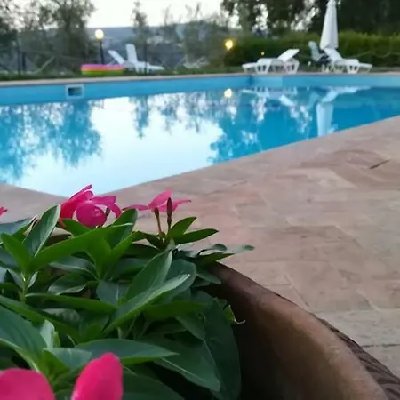 Appartamento La Vite E L'ulivo Baschi