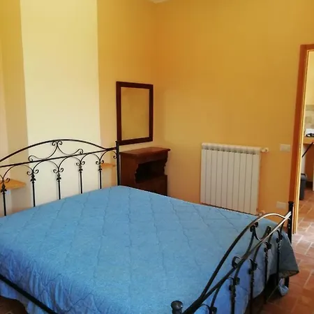 La Vite E L'ulivo