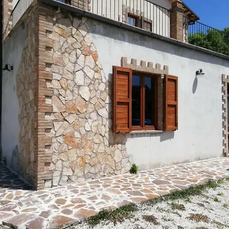 La Vite E L'ulivo Baschi