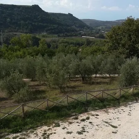 Lejlighed La Vite E L'ulivo Baschi
