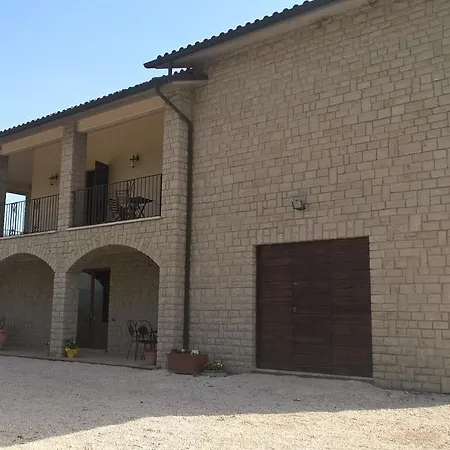 La Vite E L'ulivo Daire