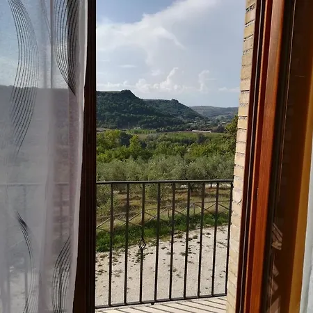 La Vite E L'ulivo *
